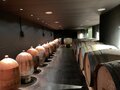 Wijncursus ‘Vuelta de España’ donderdag 11 februari 2027 19.30 uur – 22.00 uur